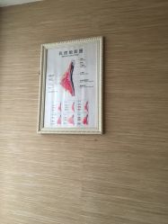 -成都伊贝丝美容美胸SPA会所