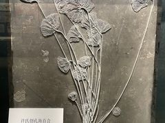 -大连自然博物馆