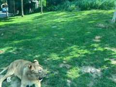 -北京野生动物园