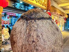 -達揚原味燉品(文明路店)