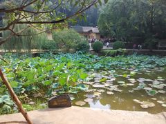 -韶山毛泽东同志故居