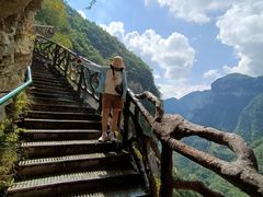 -鹿院坪生态旅游景区