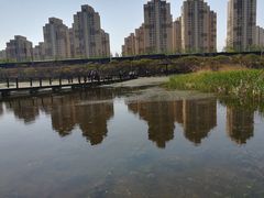 -前关湿地公园