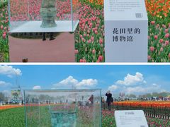 -荷兰花海