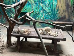 -济南野生动物世界