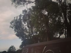 -飞凤山奥体公园