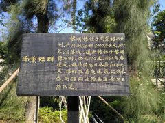 -集美学村