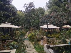-谷咖啡·鲜花绿植花园餐厅