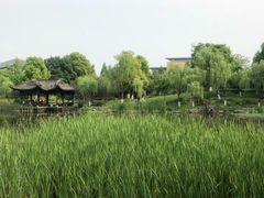 -日出青木·杭帮菜名店