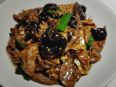 -鸭王烤鸭店(三里河店)