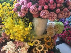 -北国之春国宴(乌兰察布店)