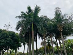 -石炮台公园