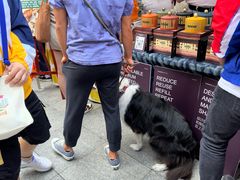 -嘉善老市