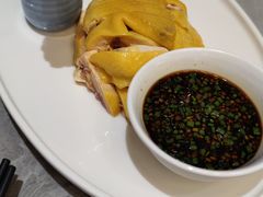 老绍兴三黄鸡-老绍兴养和饭店(向阳不夜城店)