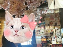 -金龙咖喱