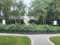 -白洋淀景区