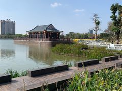 -顺峰山公园