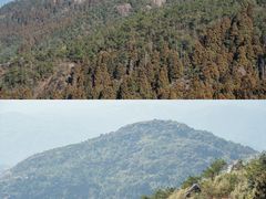 -玉苍山国家森林公园
