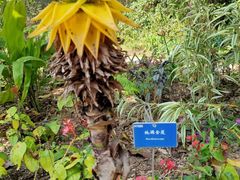 -中国科学院西双版纳热带植物园