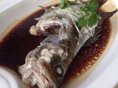 清蒸桂鱼-大蓉和(一品天下店)