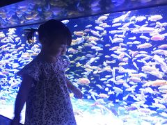 -成都浩海立方海洋公园