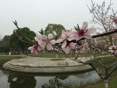 -江南大学(蠡湖校区)