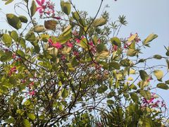 -水濂山森林公园