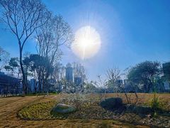 -后襄河公园