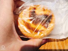 -卡吉诺动物奶油生日蛋糕(中原路店)