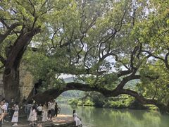 -上坦村