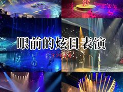 -重庆国际马戏城