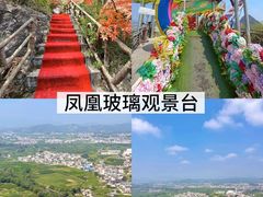 -荔江湾景区