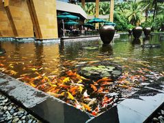 -三亚湾海居铂尔曼度假酒店