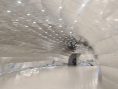 -涨巢·潮玩水疗局