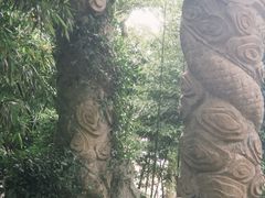 -平湖九龙山旅游度假区