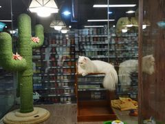 -宠物世家(仲盛世界商城店)