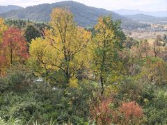-塔川景区