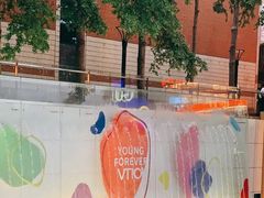 -VT101维多利广场