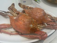 -金海湾海鲜排档(朱家尖店)
