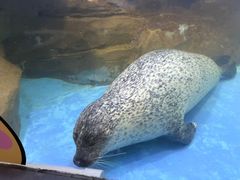 -常州海昌海洋探索馆