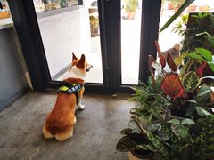 -隹木咖啡馆(宝龙广场店)