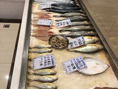 -陶然饺子城(奥体中路店)