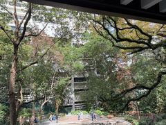 -香港大学