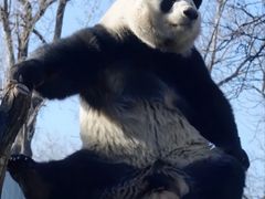 -美联众合动物医院·24h转诊中心