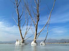 -野鸭湖国家湿地公园