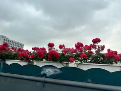 -黄龙时代广场