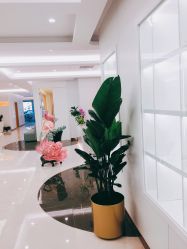 -五洲妇儿医院