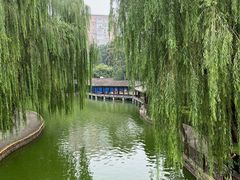 -团结湖公园