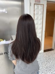 -天使之手plus