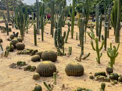 -东莞植物园